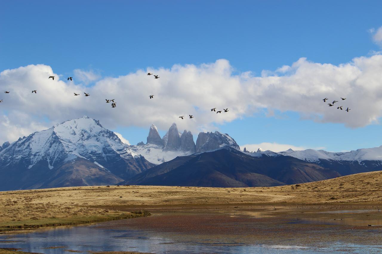 Estancia Tercera Barranca Torres del Paine National Park Exterior foto