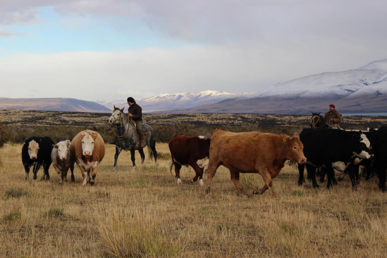 Estancia Tercera Barranca Torres del Paine National Park Exterior foto